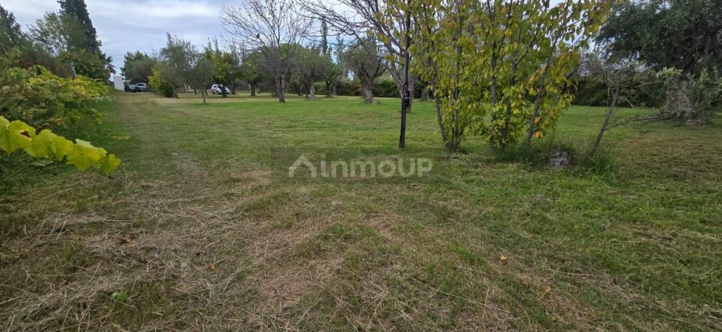 Finca en Venta en Maipu, Mendoza