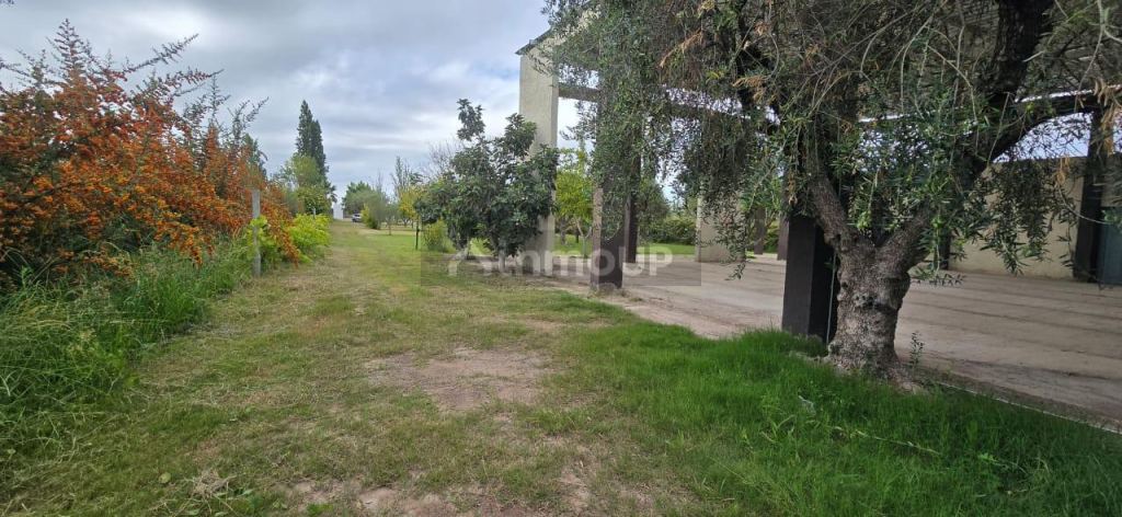 Finca en Venta en Maipu, Mendoza