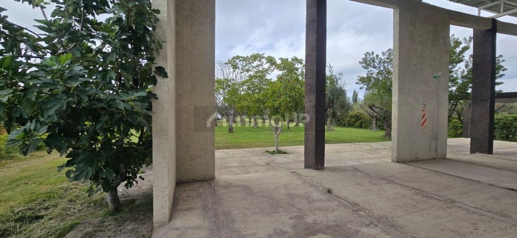 Finca en Venta en Maipu, Mendoza