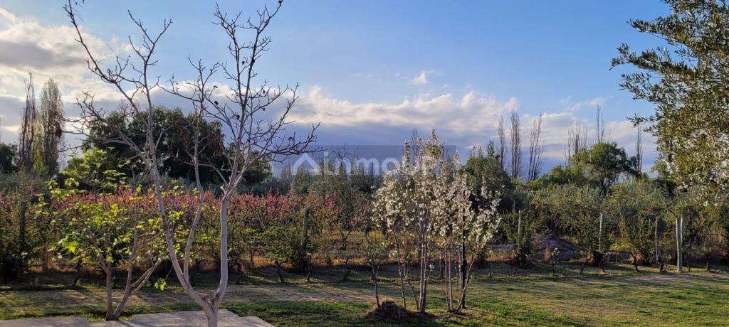Finca en Venta en Maipu, Mendoza