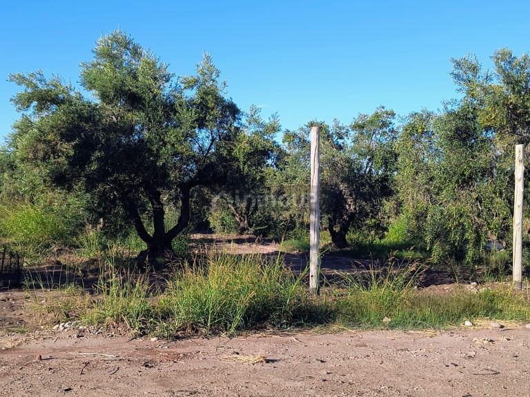 Lote en Venta en Maipu, Mendoza