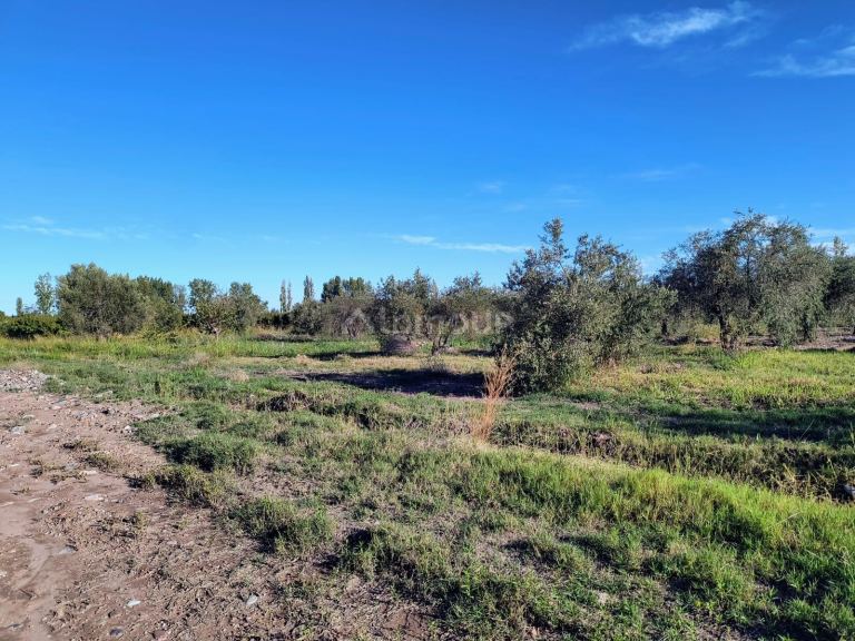 Lote en Venta en Maipu, Mendoza