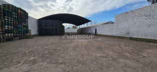 Guaymallen Bandera de Los Andes 7000