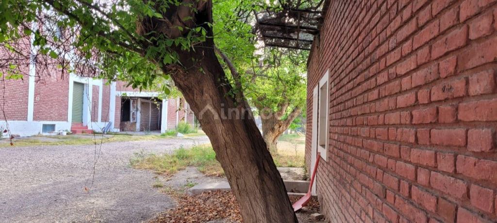 Bodega en Venta en Lujan de Cuyo, Mendoza