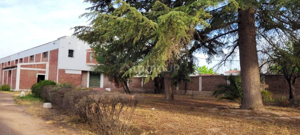 Bodega en Venta en Lujan de Cuyo, Mendoza
