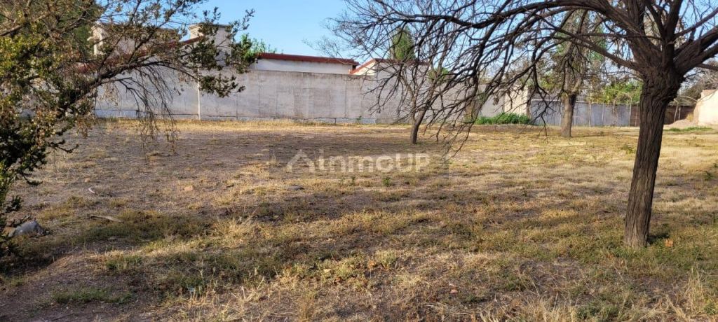Bodega en Venta en Lujan de Cuyo, Mendoza