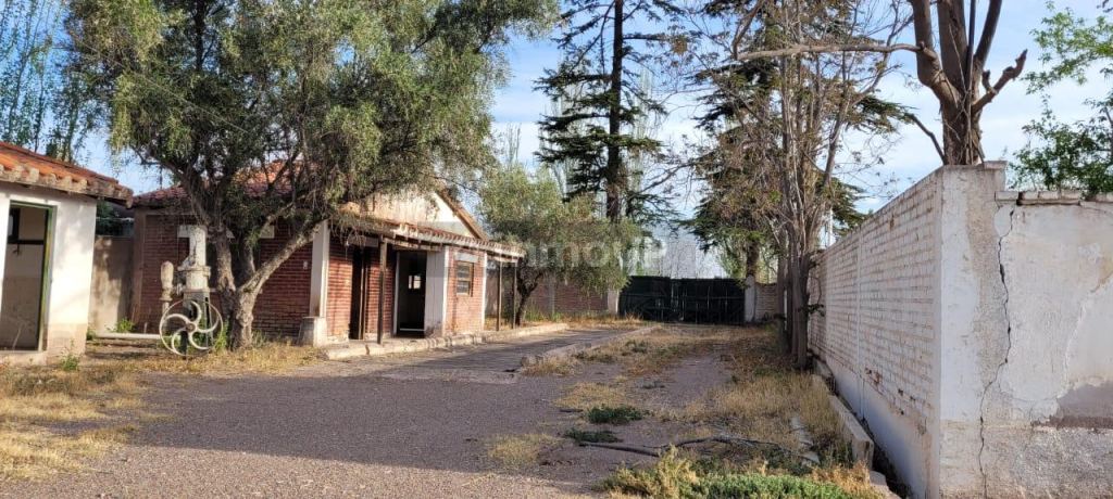 Bodega en Venta en Lujan de Cuyo, Mendoza