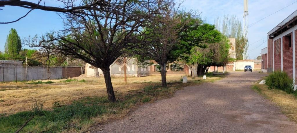 Bodega en Venta en Lujan de Cuyo, Mendoza