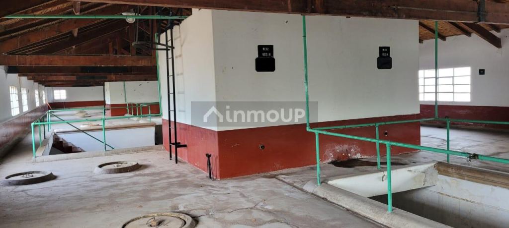 Bodega en Venta en Lujan de Cuyo, Mendoza