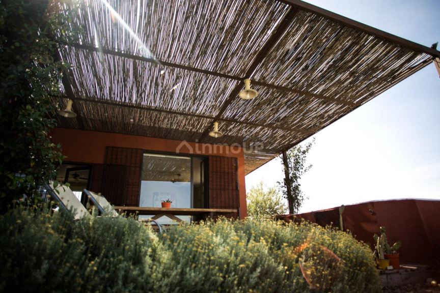 Bodega con Viñedo en Venta en San Rafael, Mendoza