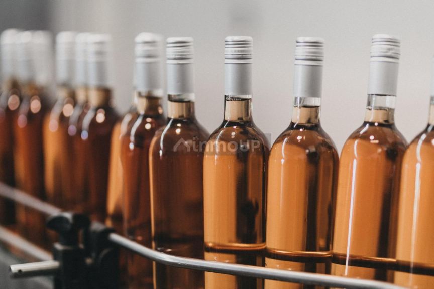 Bodega con Viñedo en Venta en San Rafael, Mendoza