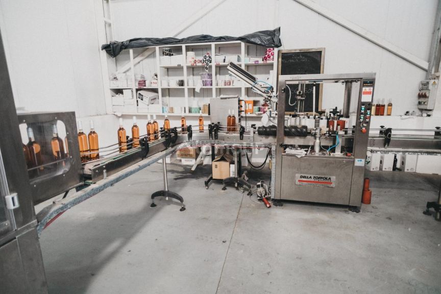 Bodega con Viñedo en Venta en San Rafael, Mendoza