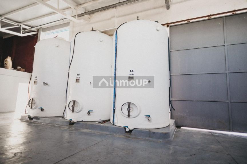 Bodega con Viñedo en Venta en San Rafael, Mendoza