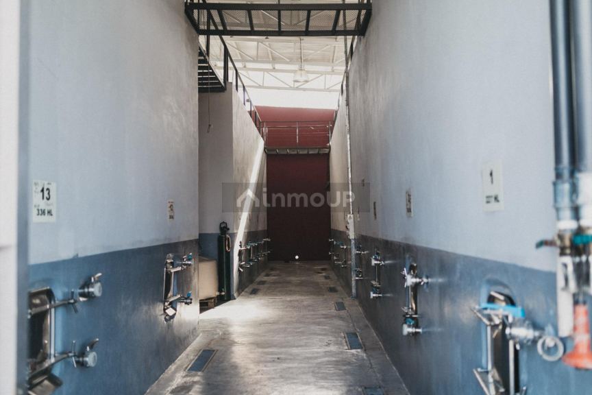 Bodega con Viñedo en Venta en San Rafael, Mendoza
