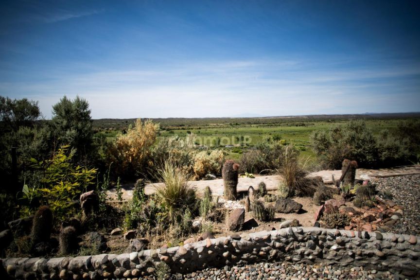 Bodega con Viñedo en Venta en San Rafael, Mendoza