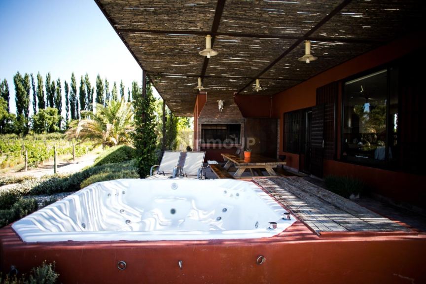 Bodega con Viñedo en Venta en San Rafael, Mendoza
