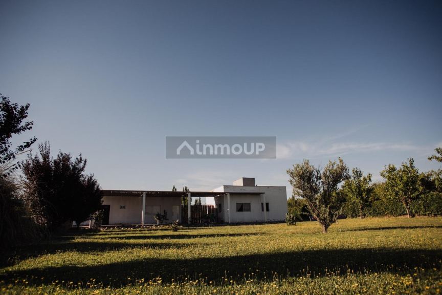 Bodega con Viñedo en Venta en San Rafael, Mendoza