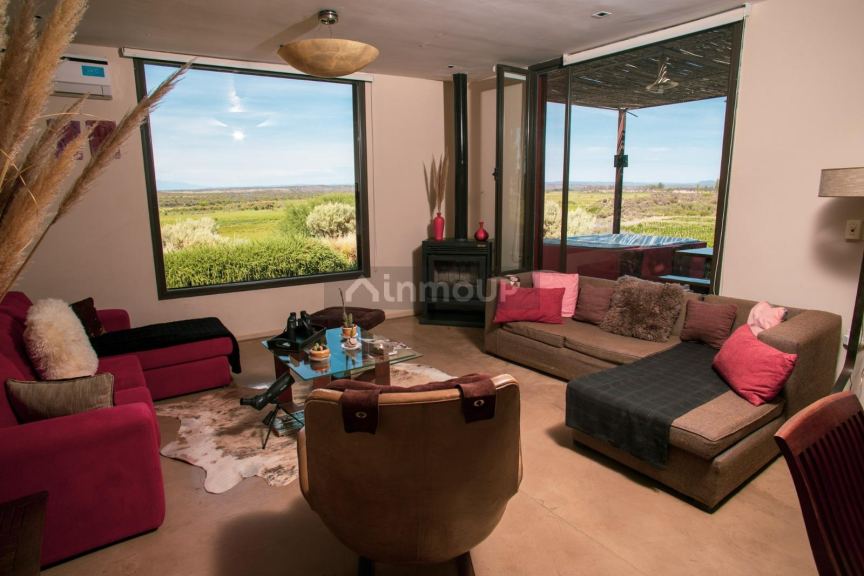 Bodega con Viñedo en Venta en San Rafael, Mendoza