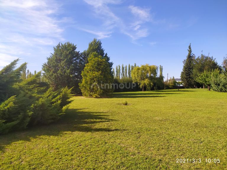 Local Comercial en Venta en San Rafael, Mendoza