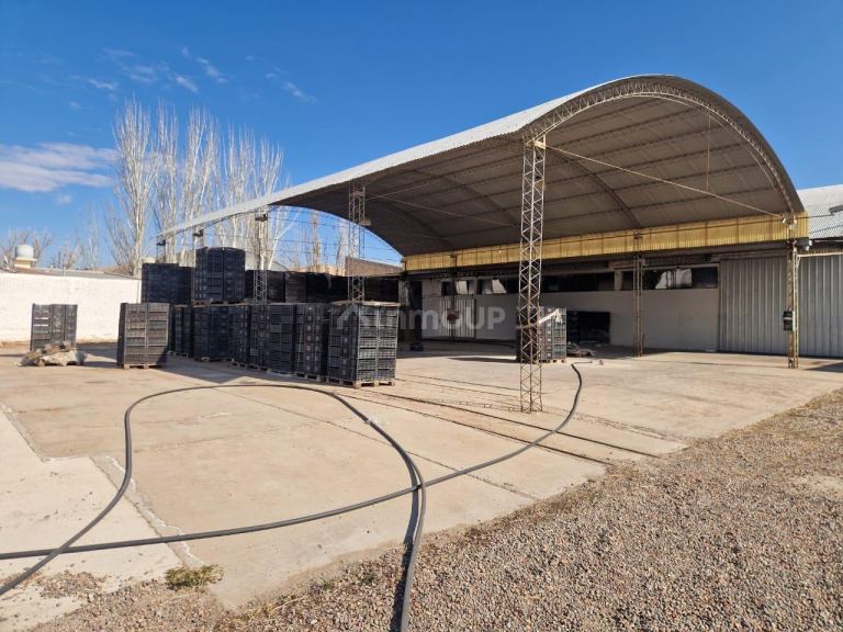 Galpon en Venta en San Martin, Mendoza