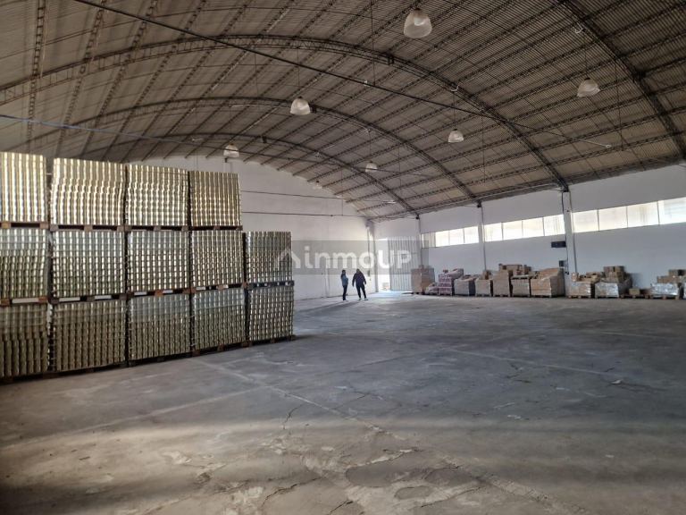 Galpon en Alquiler en San Martin, Mendoza