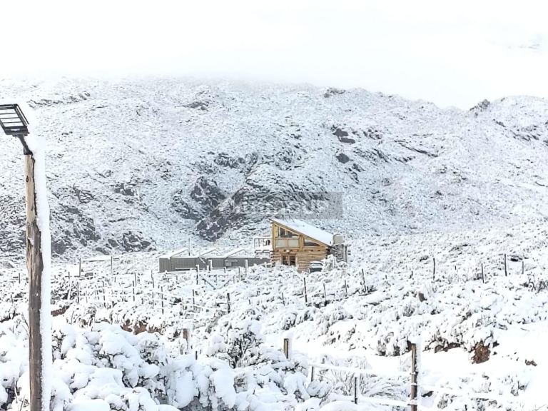 Lote en Venta en Lujan de Cuyo, Mendoza