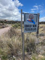 Lujan de Cuyo Eco Villa