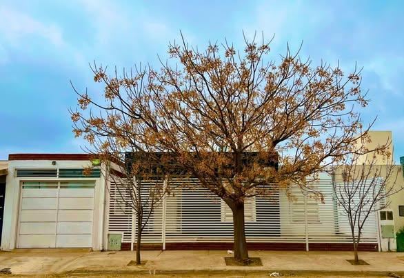 Casa en Alquiler en La Punta, San Luis