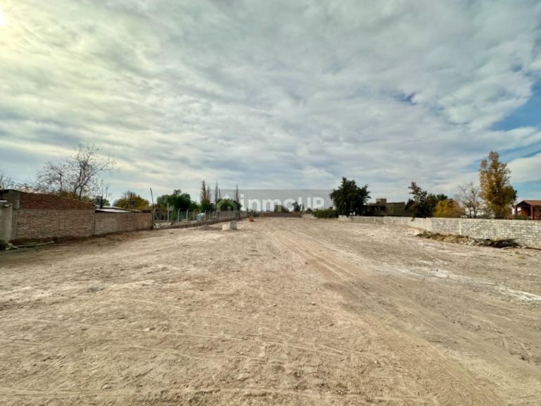Lote en Alquiler en Rivadavia, San Juan