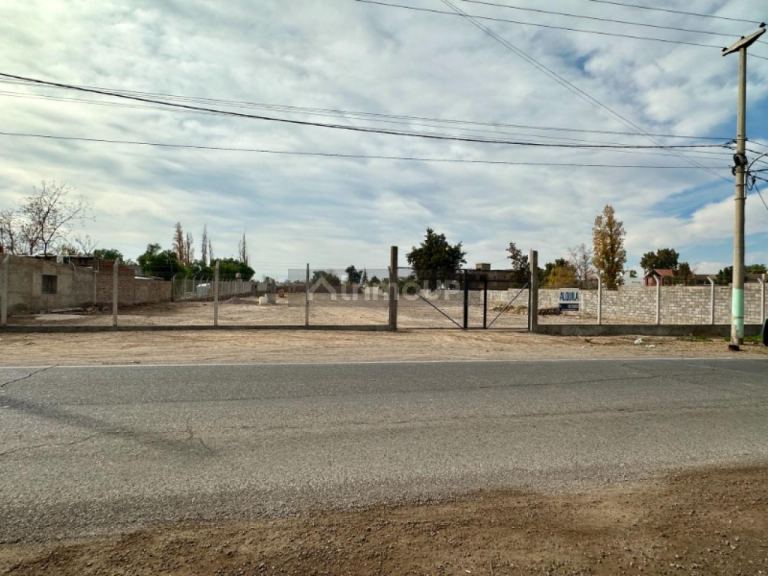 Lote en Alquiler en Rivadavia, San Juan