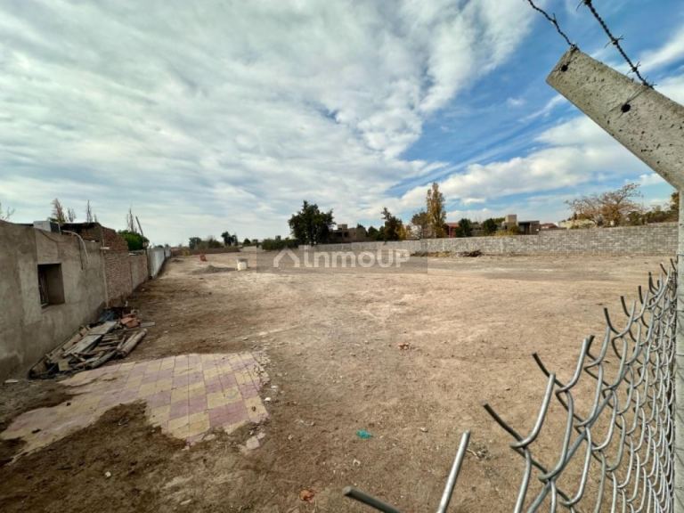 Lote en Alquiler en Rivadavia, San Juan
