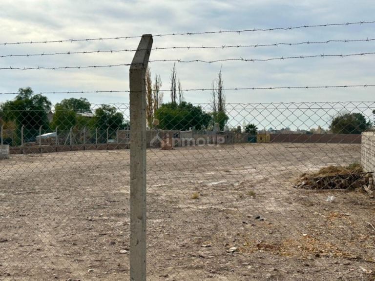 Lote en Alquiler en Rivadavia, San Juan