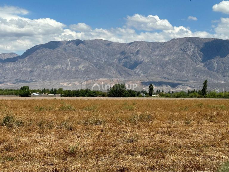 Finca en Venta en Pocito, San Juan