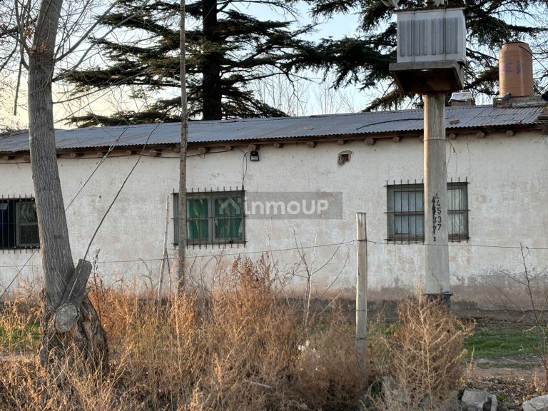Finca en Venta en San Carlos, Mendoza
