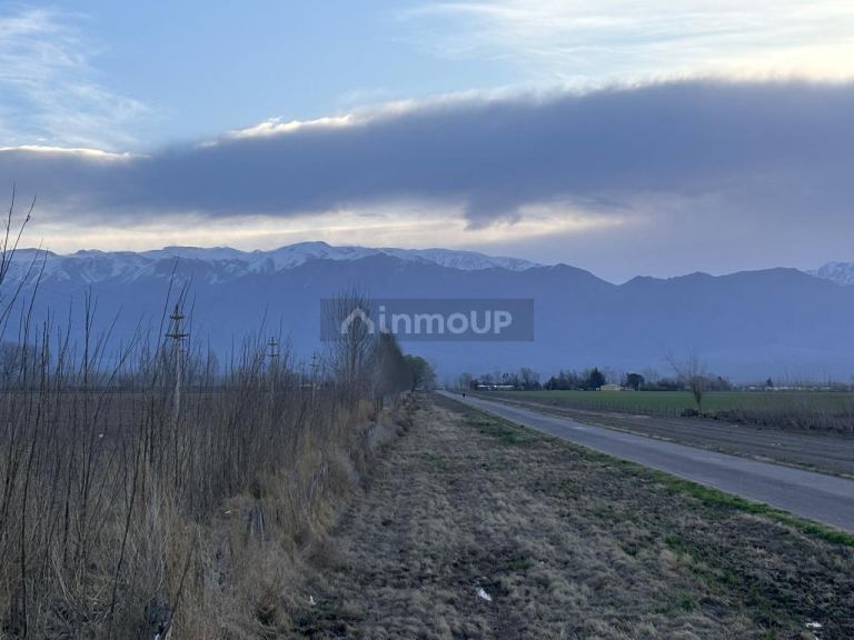 Finca en Venta en San Carlos, Mendoza