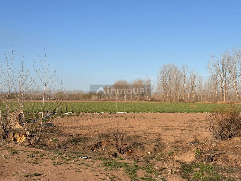 Finca en Venta en San Carlos, Mendoza