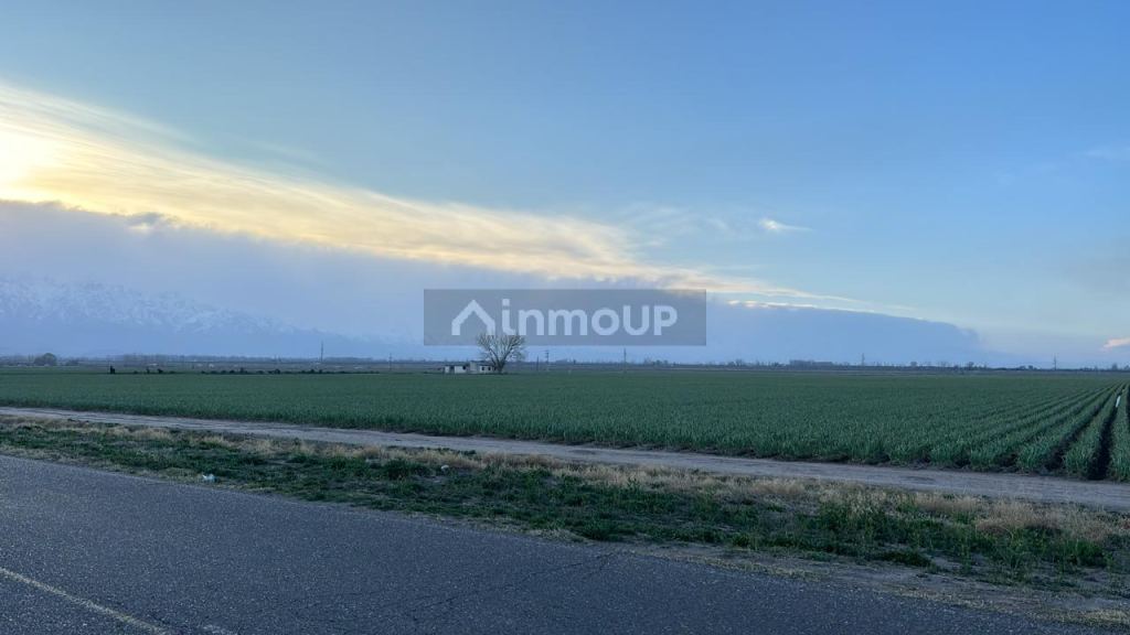 Finca en Venta en San Carlos, Mendoza