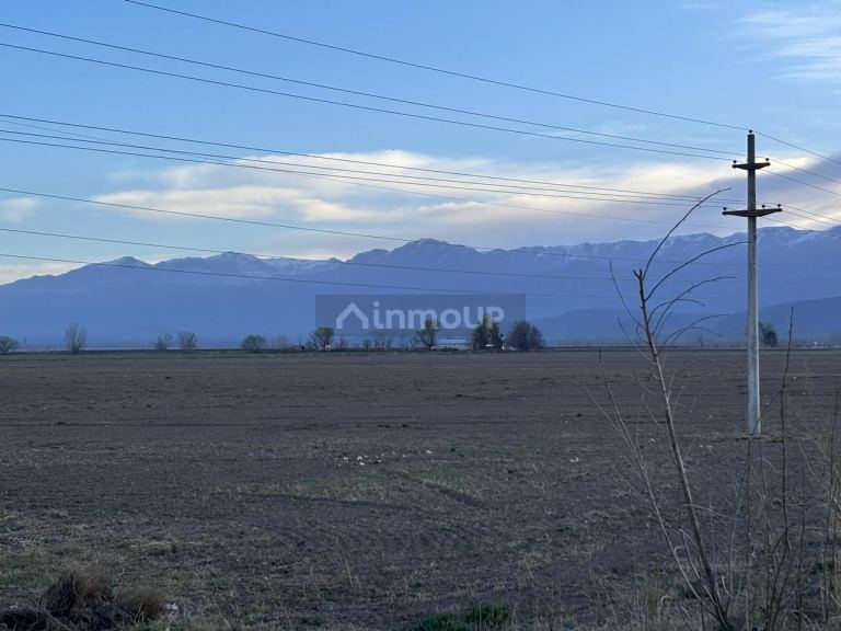Finca en Venta en San Carlos, Mendoza