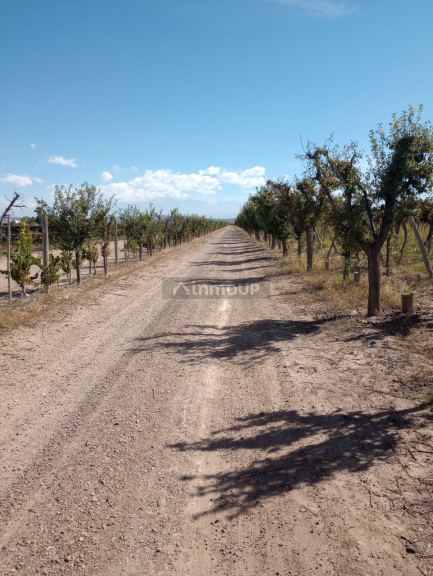 Finca en Venta en Maipu, Mendoza