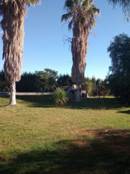 Finca en Venta en Maipu, Mendoza