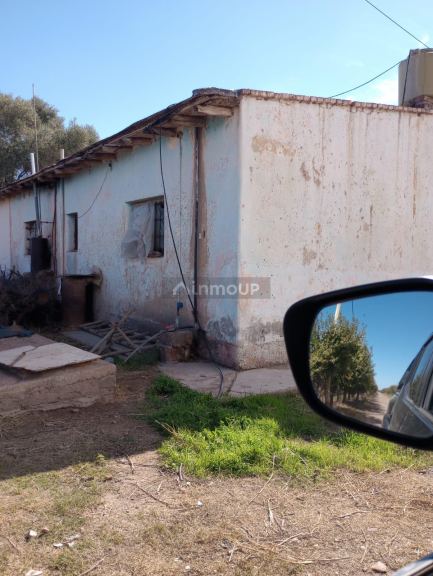 Finca en Venta en Maipu, Mendoza