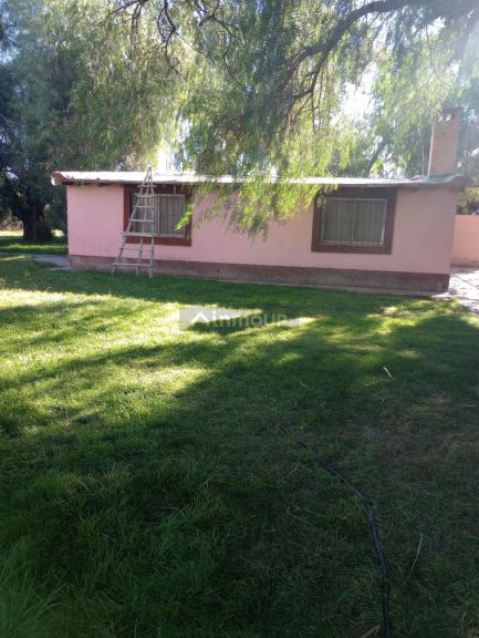 Finca en Venta en Maipu, Mendoza
