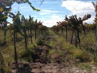 Maipu RUTA 14 S/N