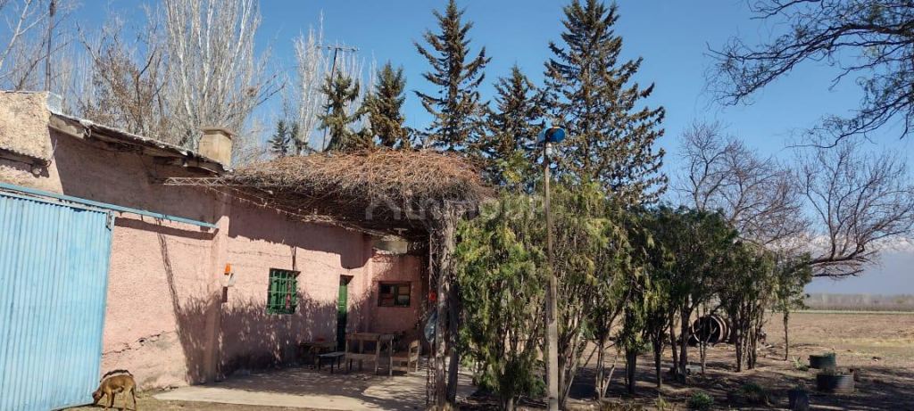Finca en Venta en Tunuyan, Mendoza