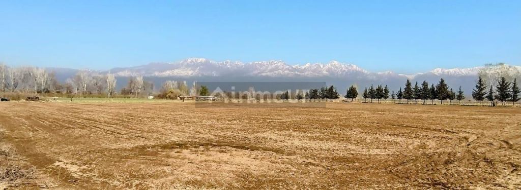 Finca en Venta en Tunuyan, Mendoza