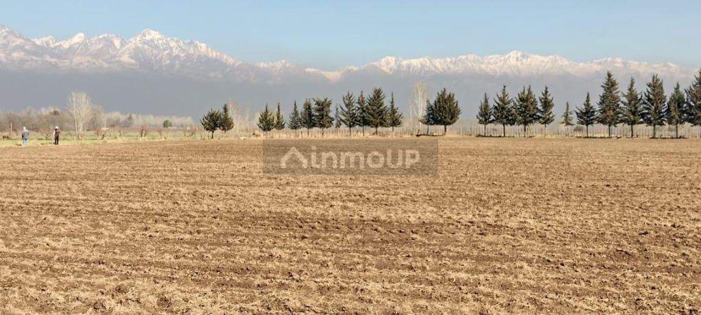 Finca en Venta en Tunuyan, Mendoza