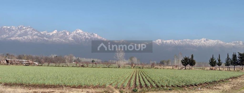 Finca en Venta en Tunuyan, Mendoza
