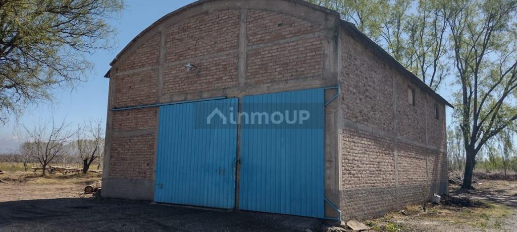 Finca en Venta en Tunuyan, Mendoza