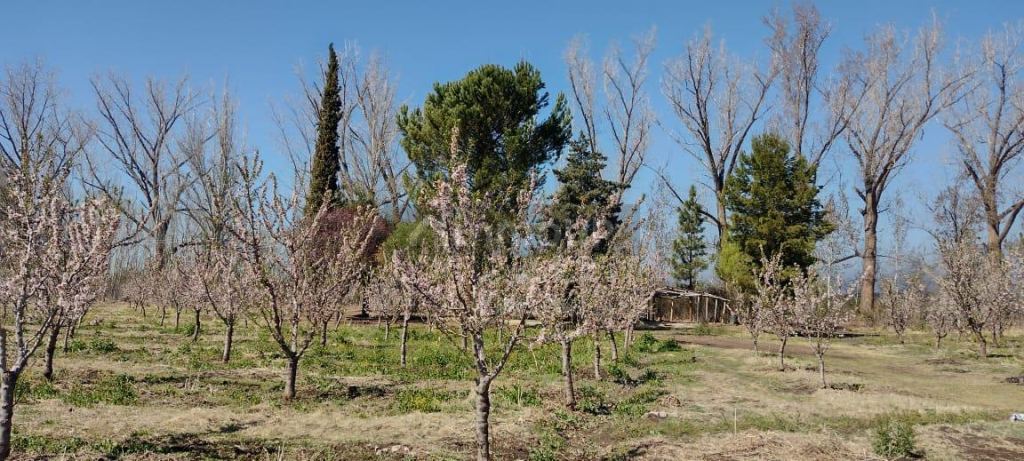 Finca en Venta en Tunuyan, Mendoza
