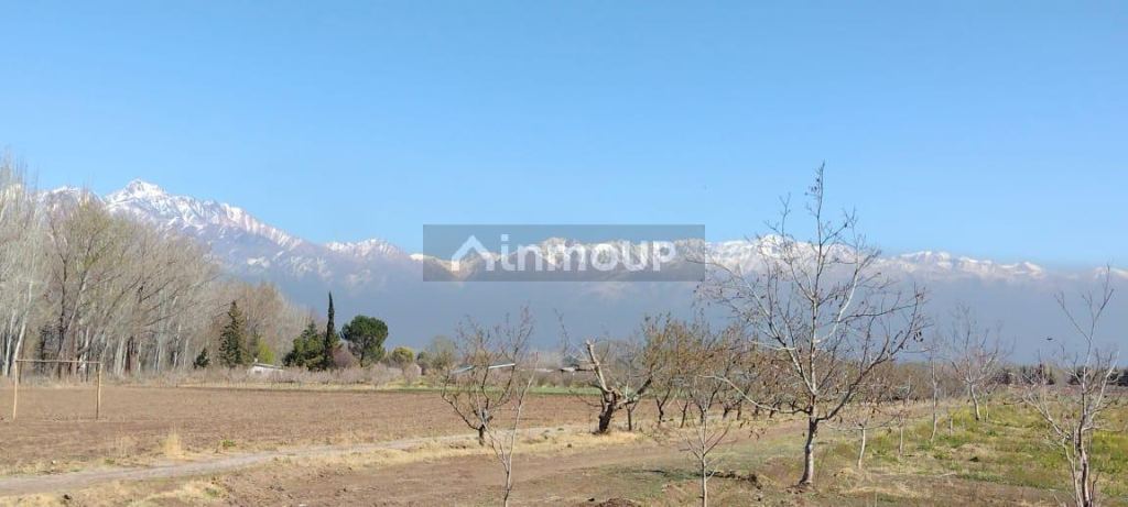 Finca en Venta en Tunuyan, Mendoza